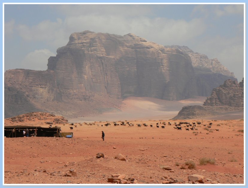 Wadi Rum - kozy na pastv v pouti 