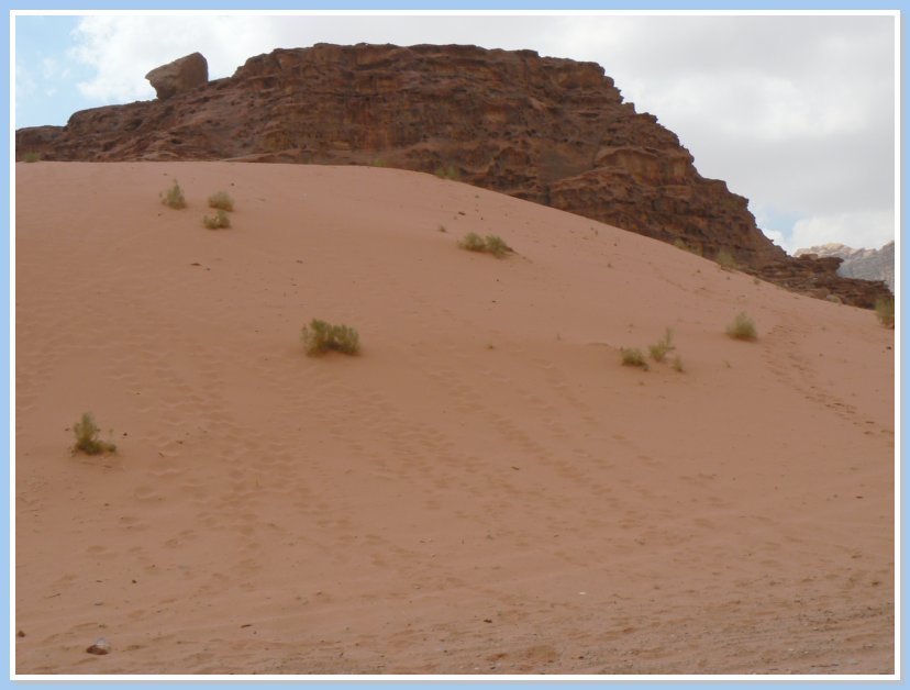 Wadi Rum - psen duna